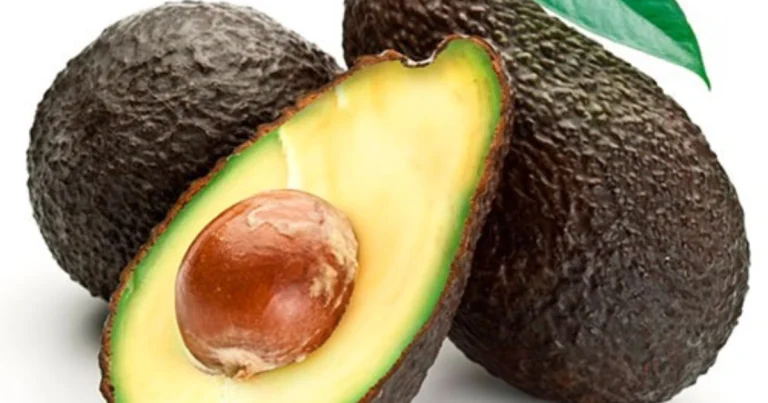 El hueso de aguacate: un recurso natural con grandes beneficios