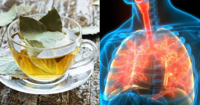 Hierbas para fortalecer los pulmones: aliados naturales de la salud respiratoria