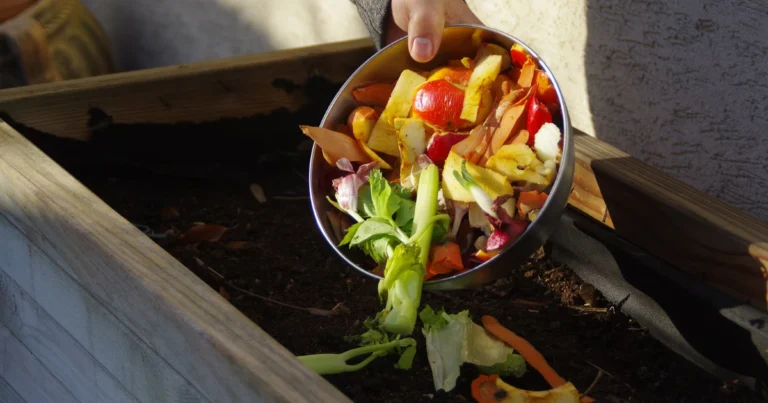 12 Fertilizantes Naturales que Puedes Usar en Casa para un Jardín Más Saludable