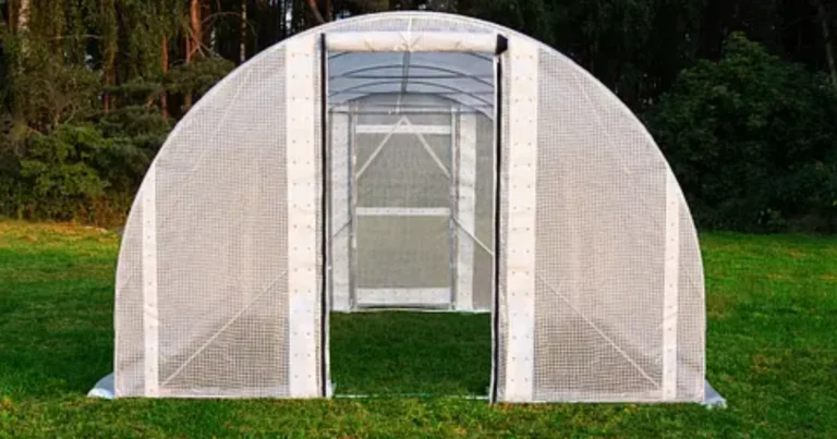 Mini-serre casera paso a paso para un huerto todo el año