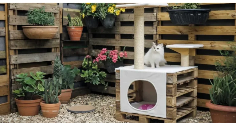 diseño con palets para gatos: un refugio acogedor y creativo para tu hogar