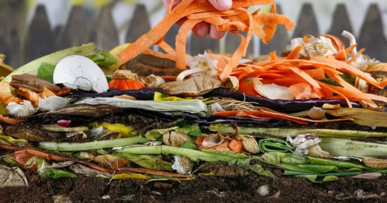 Cómo hacer compost paso a paso: transforma tus desechos en abono natural