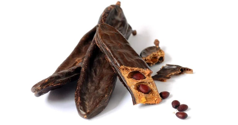 El algarrobo: un superalimento olvidado con grandes beneficios