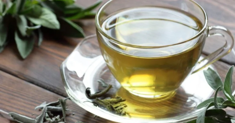 Infusión de hojas de olivo: propiedades, beneficios y preparación