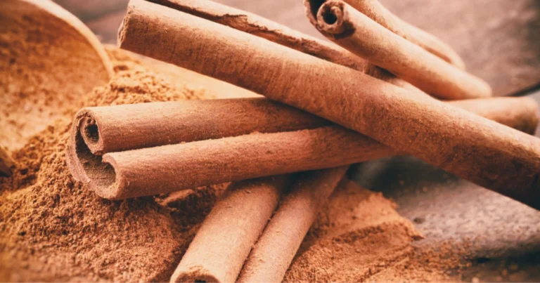 Cómo cultivar canela en casa y disfrutar de una reserva infinita