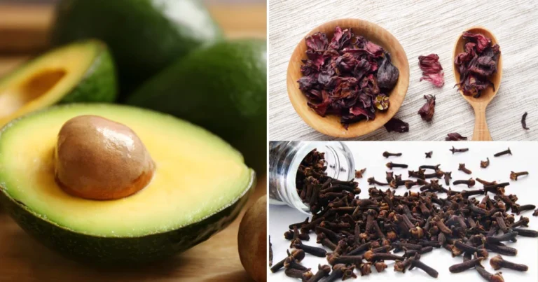 Infusión de hibisco y semilla de aguacate: receta, beneficios y precauciones