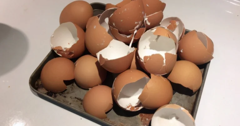No tires las cáscaras de huevo: usos prácticos y sostenibles en casa y jardín