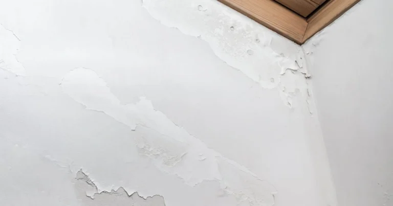 Humedad por capilaridad: solución casera fácil y económica para reparar paredes