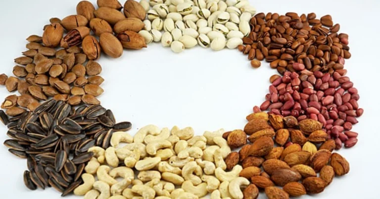 ¿Cuál es la fruta seca más saludable? Clasificación y beneficios para la salud