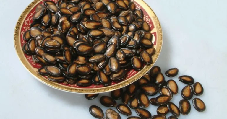 10 beneficios de las semillas de sandía y cómo aprovecharlas en tu dieta