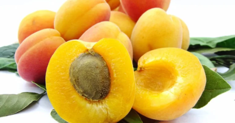 Cómo reutilizar los huesos de albaricoque: guía completa y práctica