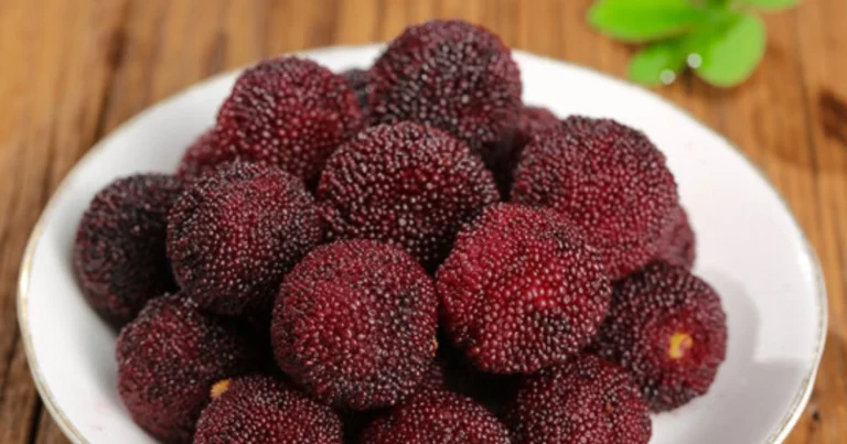 Yangmei: el fruto rojo milenario con grandes beneficios para la salud