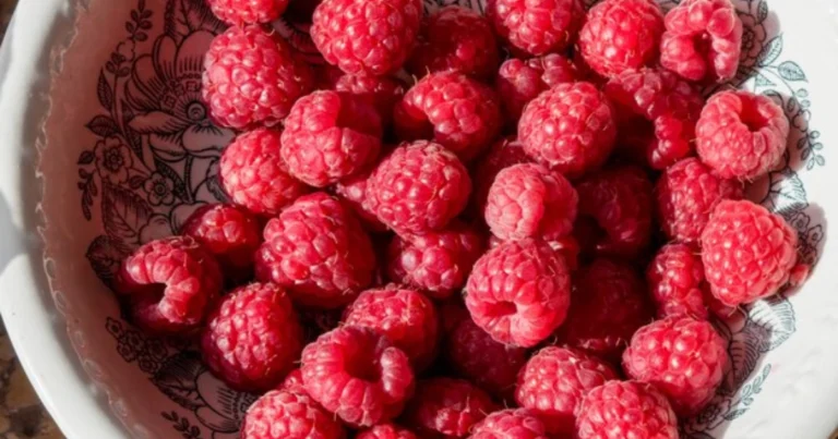 Alimentos ricos en colágeno para mantener una piel firme y combatir las arrugas