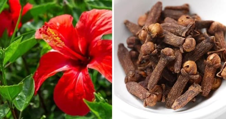 Sérum natural para devolver el color original al cabello y fortalecerlo