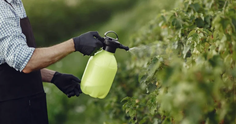 Cómo hacer un spray casero para eliminar plagas en tu jardín