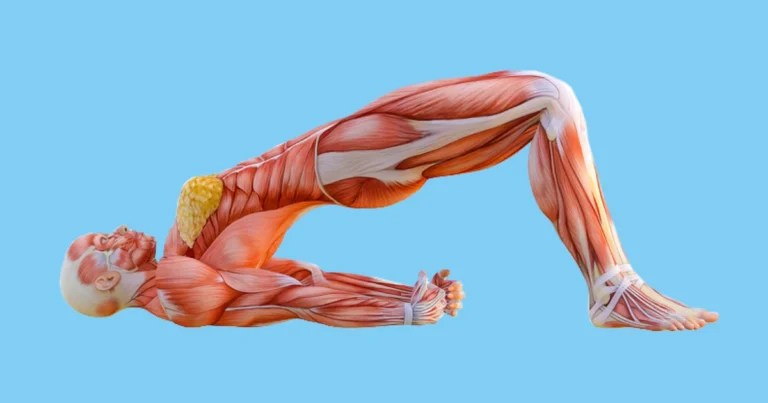 8 ejercicios de estiramiento para mejorar la flexibilidad en 4 semanas