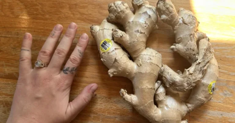 Cómo adelgazar con jengibre: beneficios, recetas y consejos prácticos