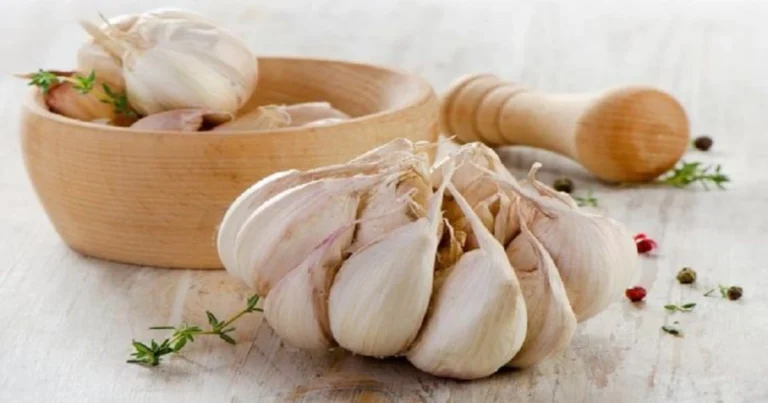 Cómo preparar polvo de ajo casero: el truco para un sabor intenso y natural