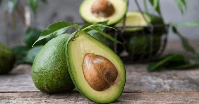 Cómo cultivar un aguacate en casa desde un hueso