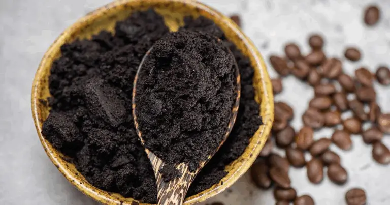 17 plantas que prosperan con los posos de café: fertilizante natural para un jardín más productivo