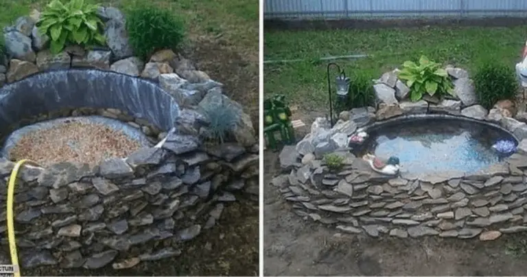 Estanque de jardín con neumático: guía paso a paso, plantas ideales y mantenimiento fácil
