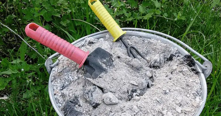 Ceniza de madera: cómo usarla con seguridad en el jardín y en casa