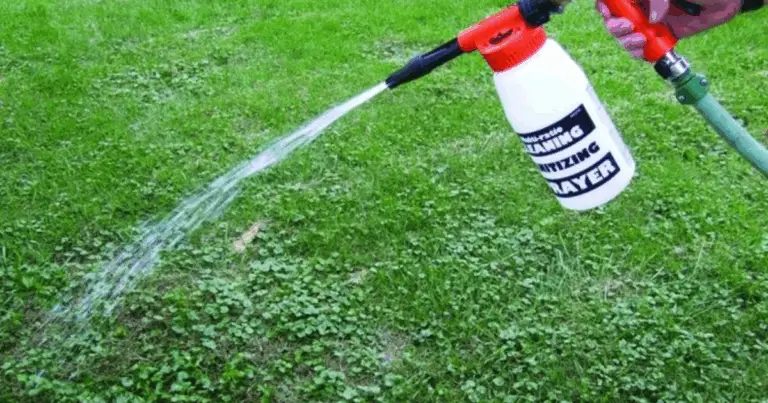 Cómo eliminar malas hierbas de forma natural: guía práctica y sostenible