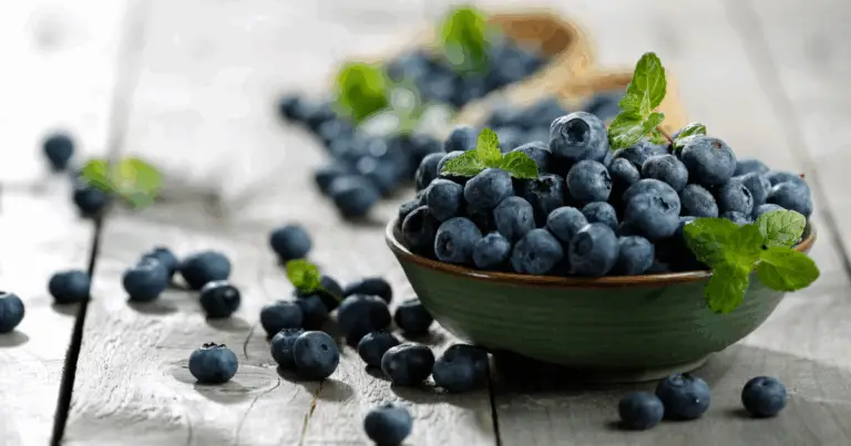 Cómo cultivar arándanos en macetas: guía práctica y completa