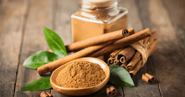 Té de canela y hojas de guayaba: beneficios, preparación segura y contraindicaciones