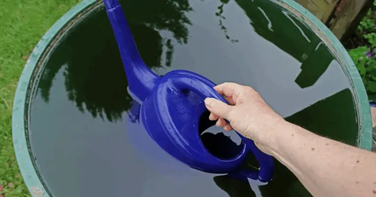 Cómo recolectar agua de lluvia sin cometer errores: guía práctica y segura