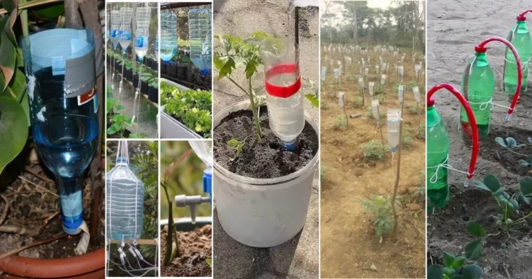 Riego Automático con Botellas Recicladas: Una Solución Ecológica y Eficaz
