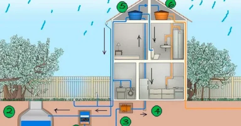 Sistema de captación de agua de lluvia con barriles: guía completa para instalar y aprovechar el recurso