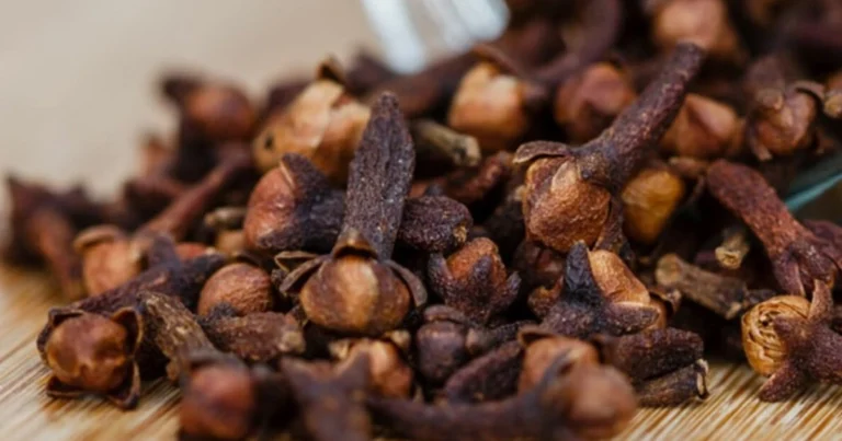 Tónico capilar natural para fortalecer y estimular el crecimiento del cabello