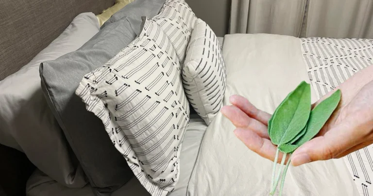 Salvia bajo la almohada y otros rituales naturales para el bienestar