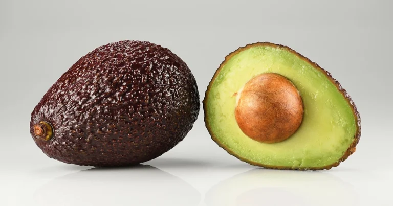 Beneficios del aguacate para la salud: el superalimento que protege tu corazón y tus células