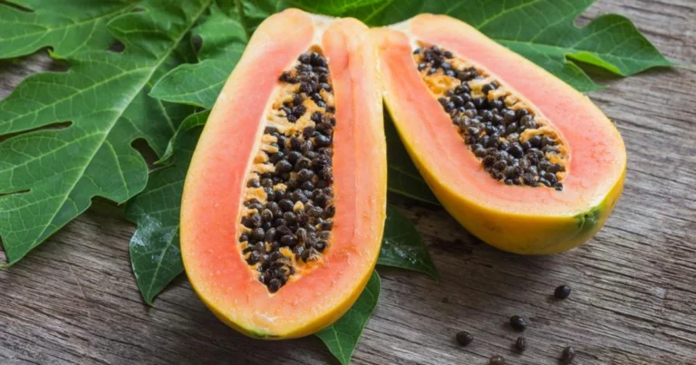 Cómo cultivar papaya en maceta y disfrutar de frutos en casa