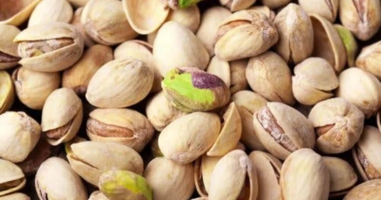 Cómo germinar y cultivar pistachos en maceta paso a paso