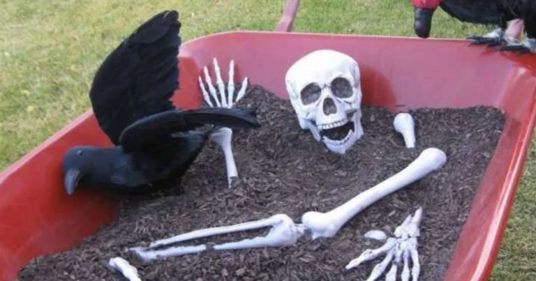27 Ideas Divertidas de Decoración con Esqueletos para el Jardín en Halloween