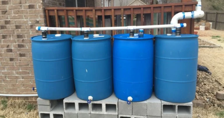 Sistema de recolección de agua de lluvia: una solución práctica y ecológica