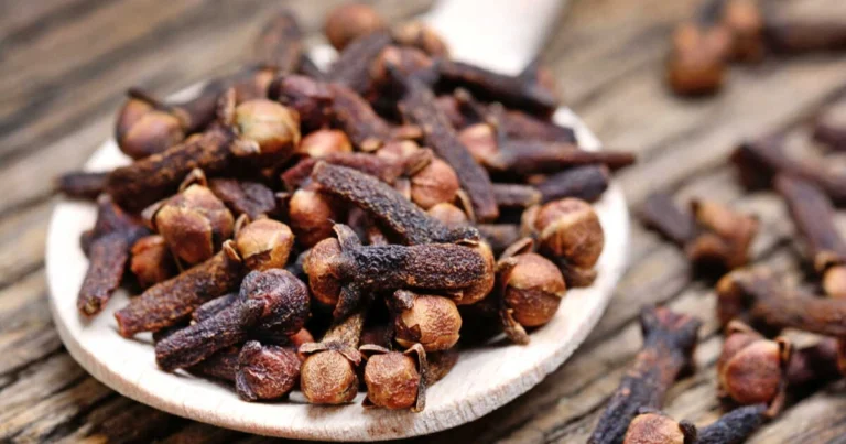 Beneficios del clavo de olor para la salud: un pequeño tesoro natural