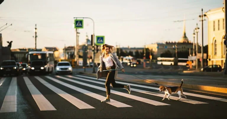 Caminar diariamente: un hábito sencillo que transforma la salud física y mental