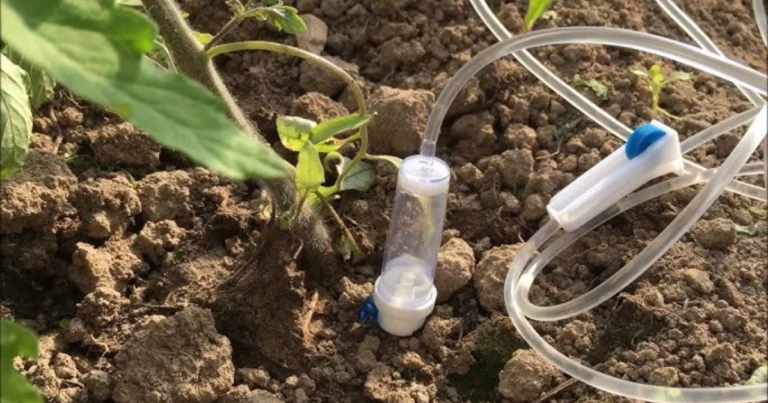 Sistema de riego por goteo casero con baldes de 20 litros: eficiencia y sostenibilidad en el jardín