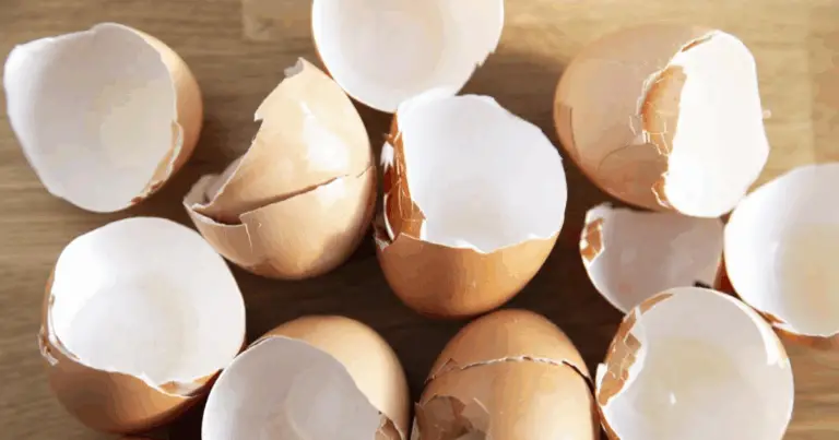 Cáscaras de huevo: un tesoro natural para el jardín y el cuidado personal