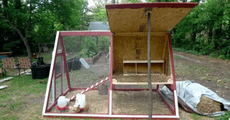 Gallineros móviles en forma de “A”: funcionalidad y bienestar para tus gallinas