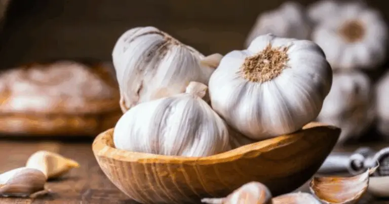 Cómo cultivar ajo en macetas: guía completa para tener ajo fresco todo el año