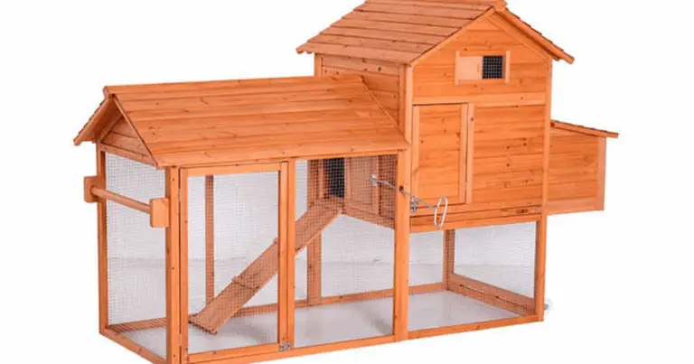 Gallinero de madera amplio y seguro: guía completa para un corral funcional