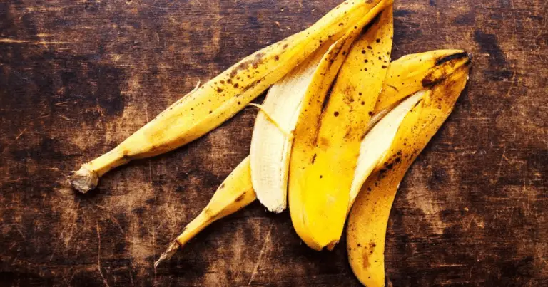 13 fertilizantes caseros que transformarán tus plantas