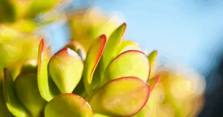 Cómo cuidar tus plantas de interior para un hogar saludable