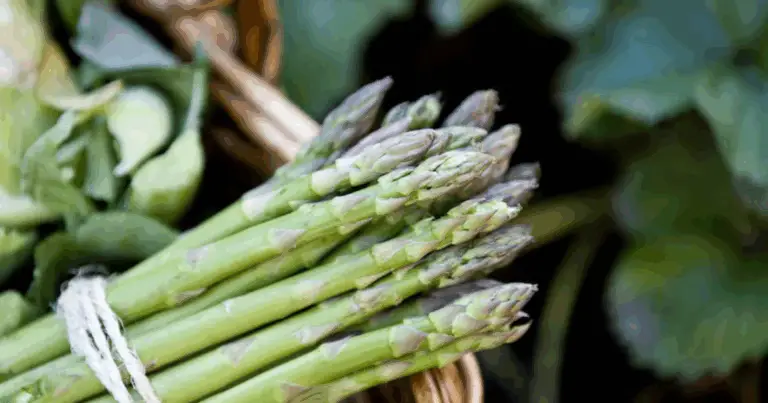 Cómo plantar espárragos: una inversión para cosechar durante 30 años