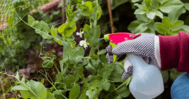 Elimina las malas hierbas con solo 3 ingredientes naturales: método eficaz y ecológico